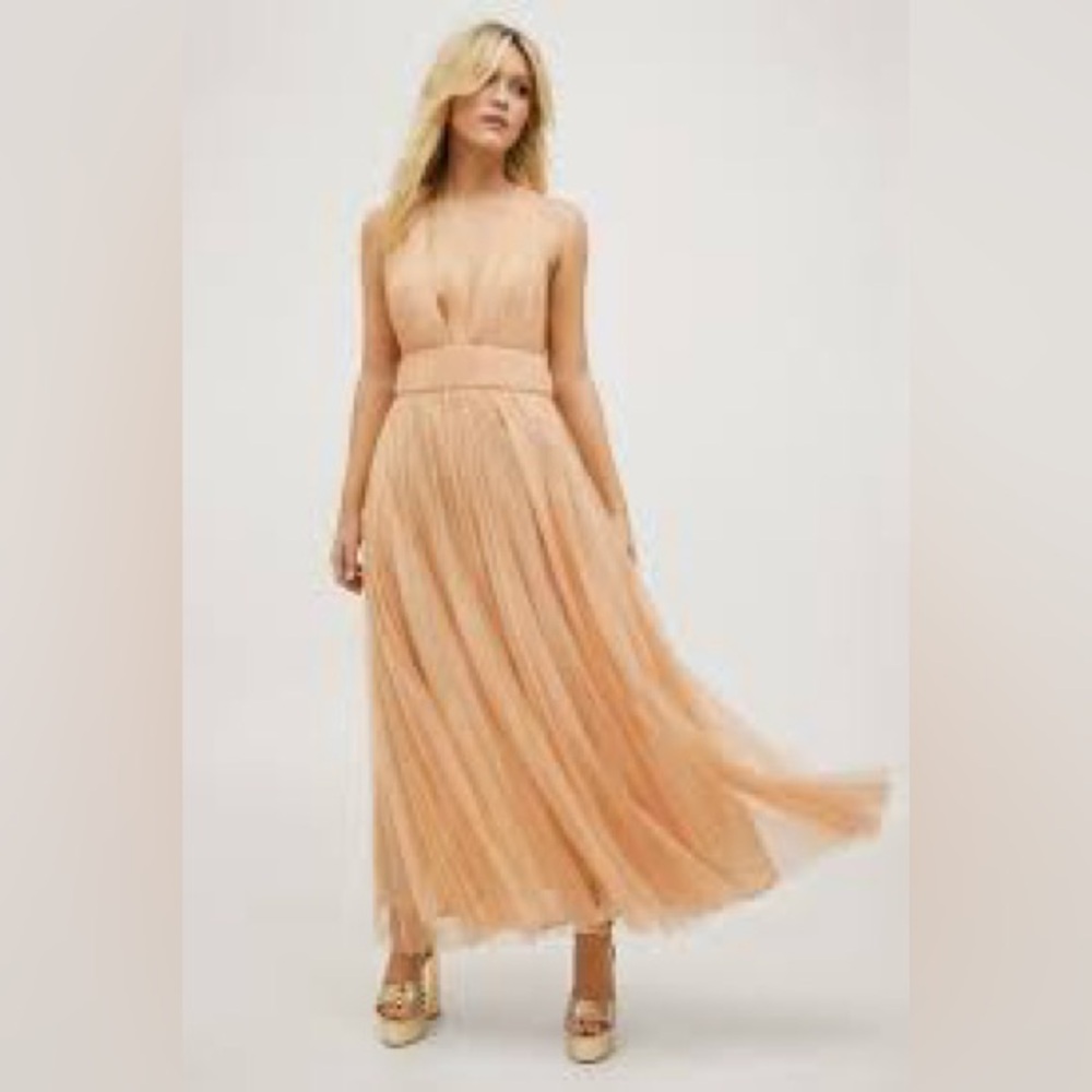 NwT;Nasty Gal Tulle Plunge Maxi Dress🌸